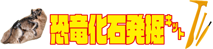 恐竜化石発掘キット
