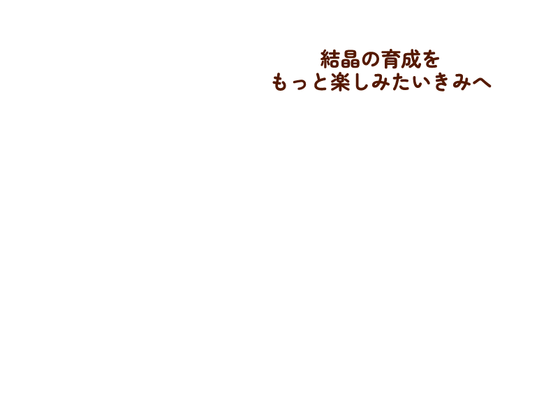 結晶の育成をもっと楽しみたいきみへ