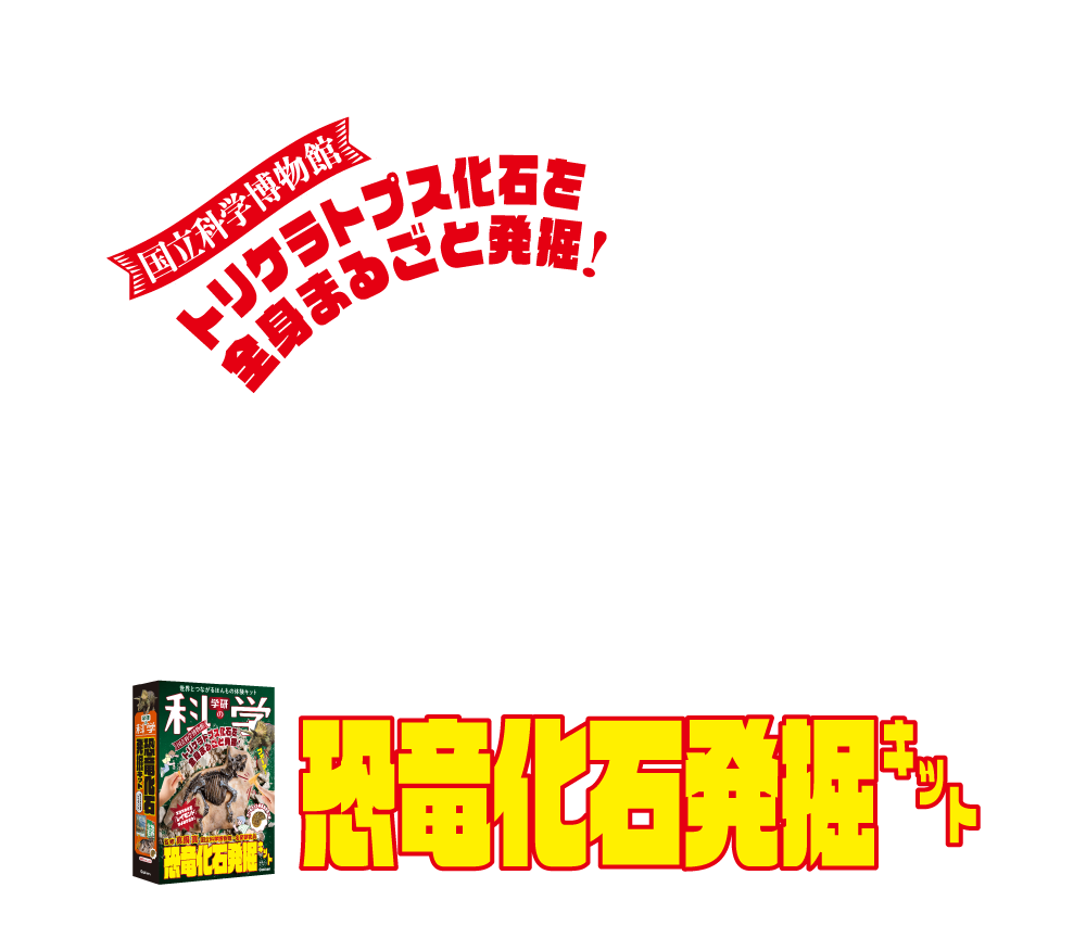トリケラトプス化石を全身まるごと発掘！「恐竜化石発掘キット」