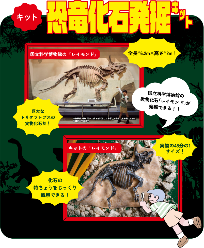 【キット】恐竜化石発掘キット