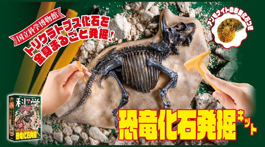 恐竜化石発掘キット